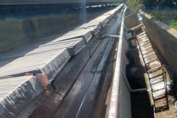 Roof Gutter Cleaning