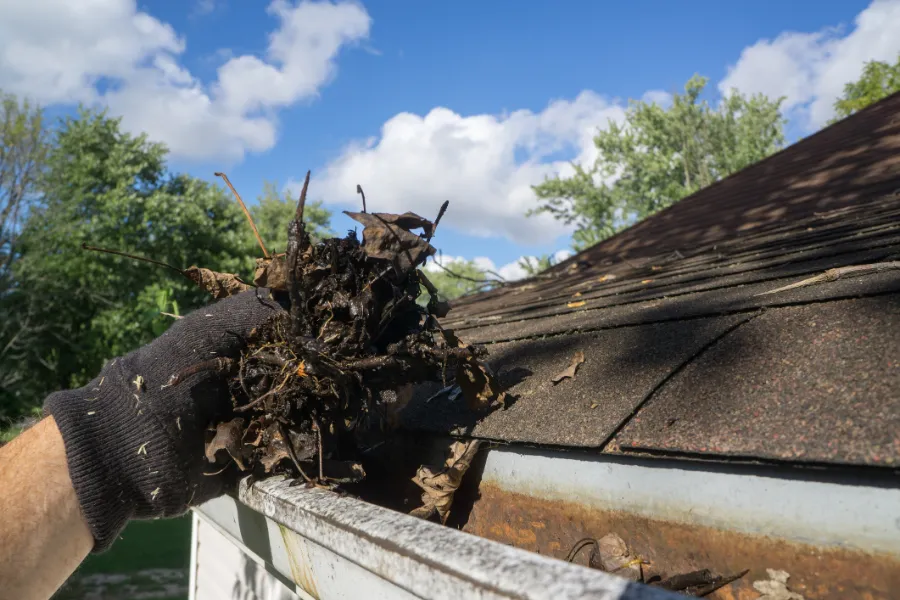 How Regular Roof Gutter Cleaning Prevents Home Damage Burbank, CA