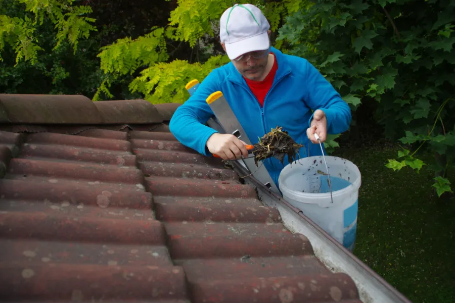 How Regular Roof Gutter Cleaning Prevents Home Damage in Burbank, CA