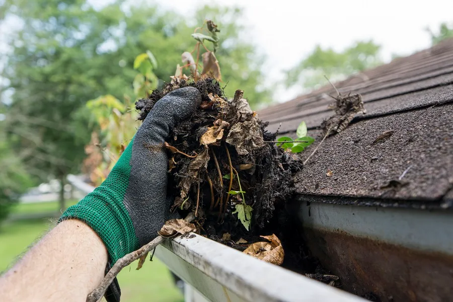 Key Benefits of Professional Roof Gutter Cleaning Burbank, CA