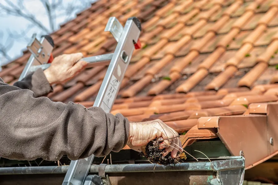 Professional Roof Gutter Cleaning in Burbank, CA