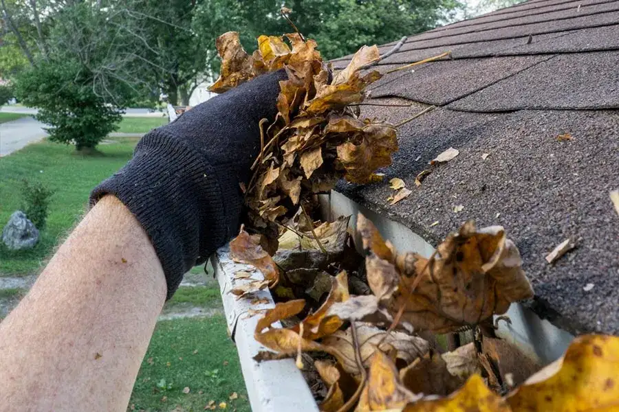 Reliable Roof Gutter Cleaning in Burbank, CA